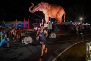 BIB: 
                            <button type="button" onclick="openModal(26552272)" class="btn btn-primary btn-sm float-right btn-popup" data-toggle="modal" data-target=".modal-high-quality">
                        <i class="fas fa-shopping-cart"></i> Add to Cart
                    </button>
                                            <button type="button" onclick="isThisMe(26552272, true)" class="btn btn-success btn-sm float-right btn-popup btn-isme hidden" data-toggle="tooltip" data-placement="bottom" title="นี่คือรูปของคุณใช่ไหม คลิกที่นี่เพื่อเอาเข้าอัลบั้ม">
                        <i class="fas fa-plus"></i> Add to album
                    </button>
                    <button type="button" onclick="isThisMe(26552272, false)" class="btn btn-warning btn-sm float-right btn-popup btn-isnotme hidden">
                        <i class="fas fa-ban"></i> Remove from album
                    </button>